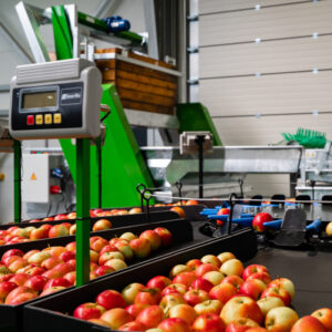 Линия за сортиране на ябълки GREENSORT Vision