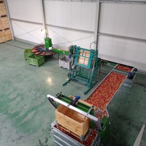 Четков ролков транспортьор за плодове GREENSORT (3 и 5 четки)