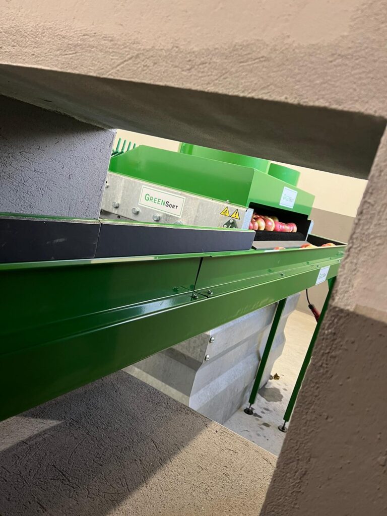V-транспортьор за подаване на плодове към сортировачка GREENSORT